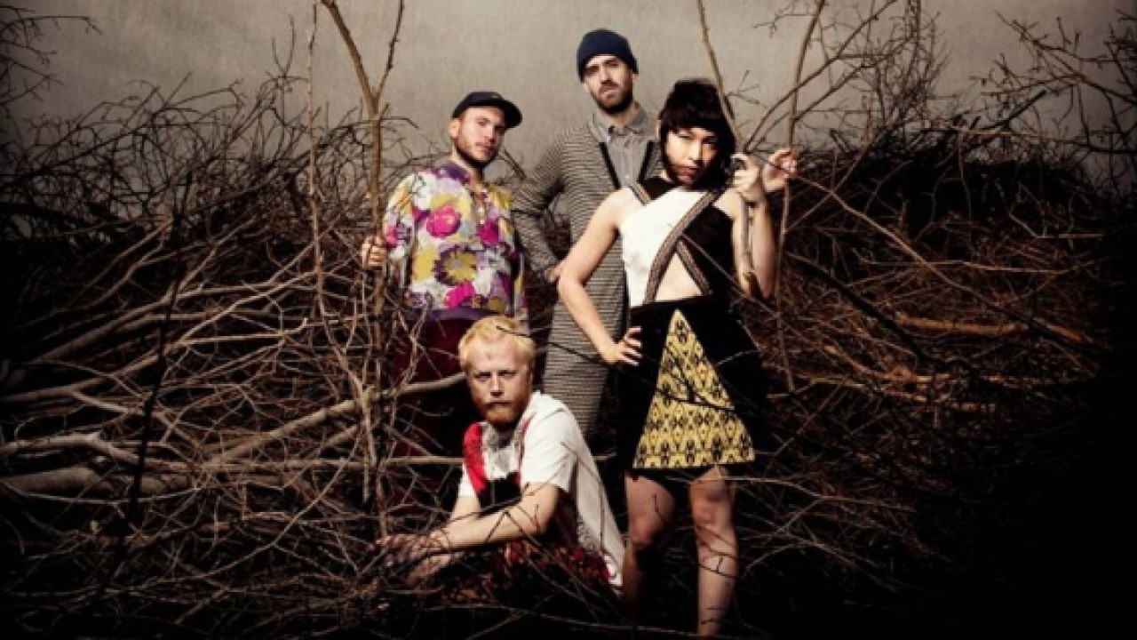 Little dragon. Группа little Dragon. Little Dragon sonlun. Little Dragon actress. Little Dragon Wanderer.