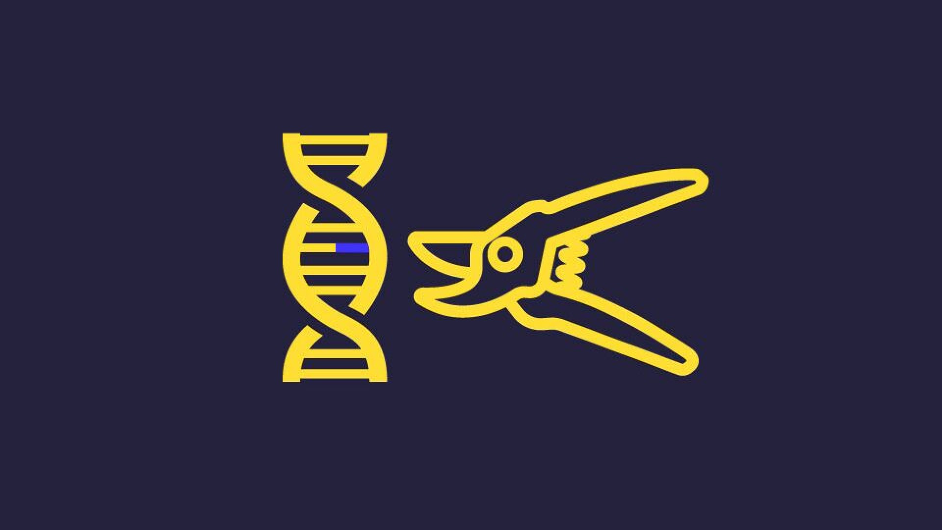 CrispR/Cas9 : La révolution du copier/coller de l’ADN